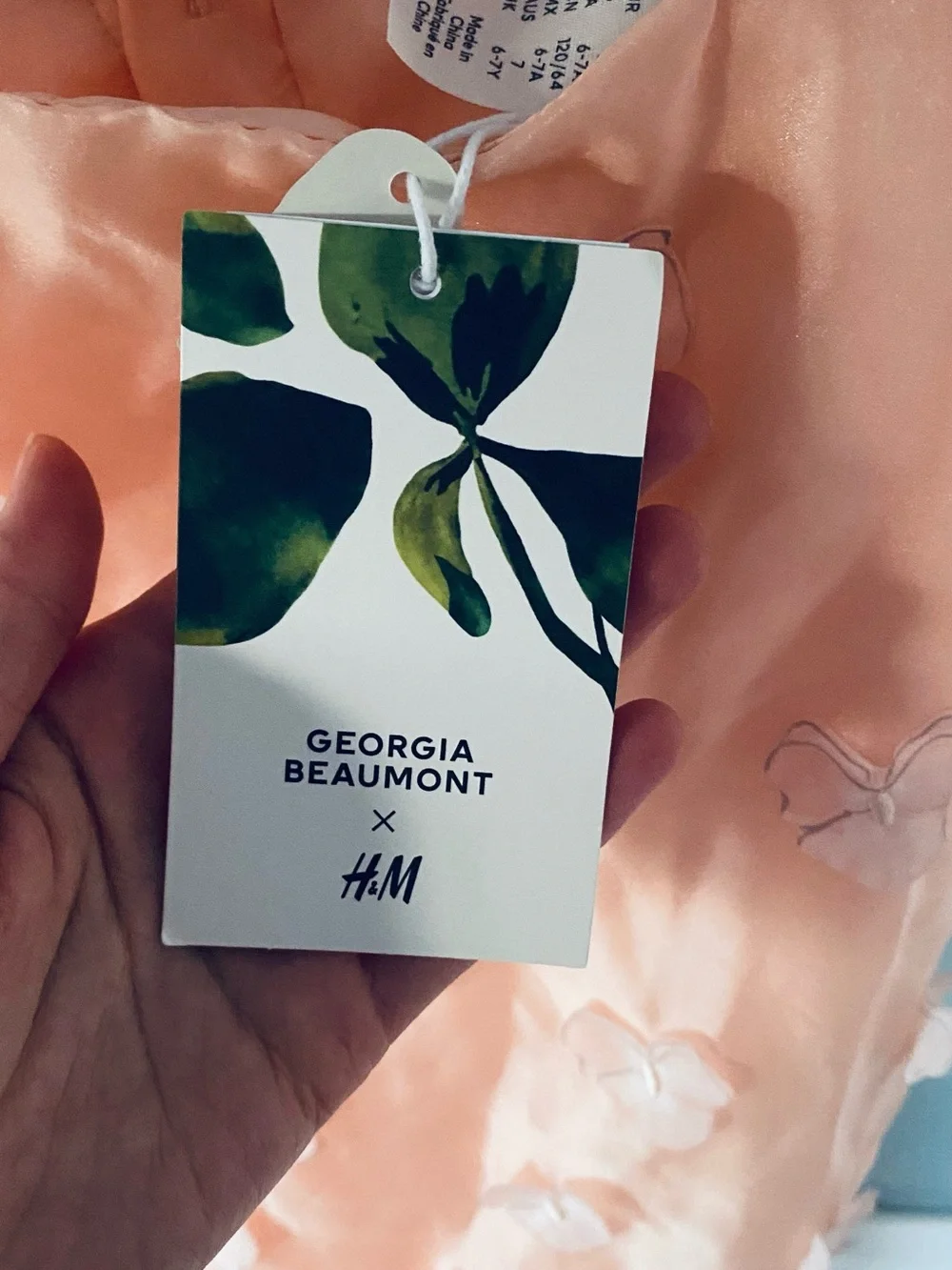 H&M Peach Pink Organza Butterfly Appliqué Dress